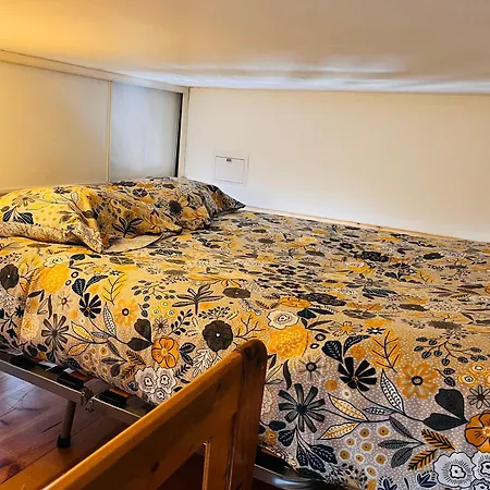 Appartement Hyper Centre - Ideal Pour Vos Ou Voyage D'affaires *
